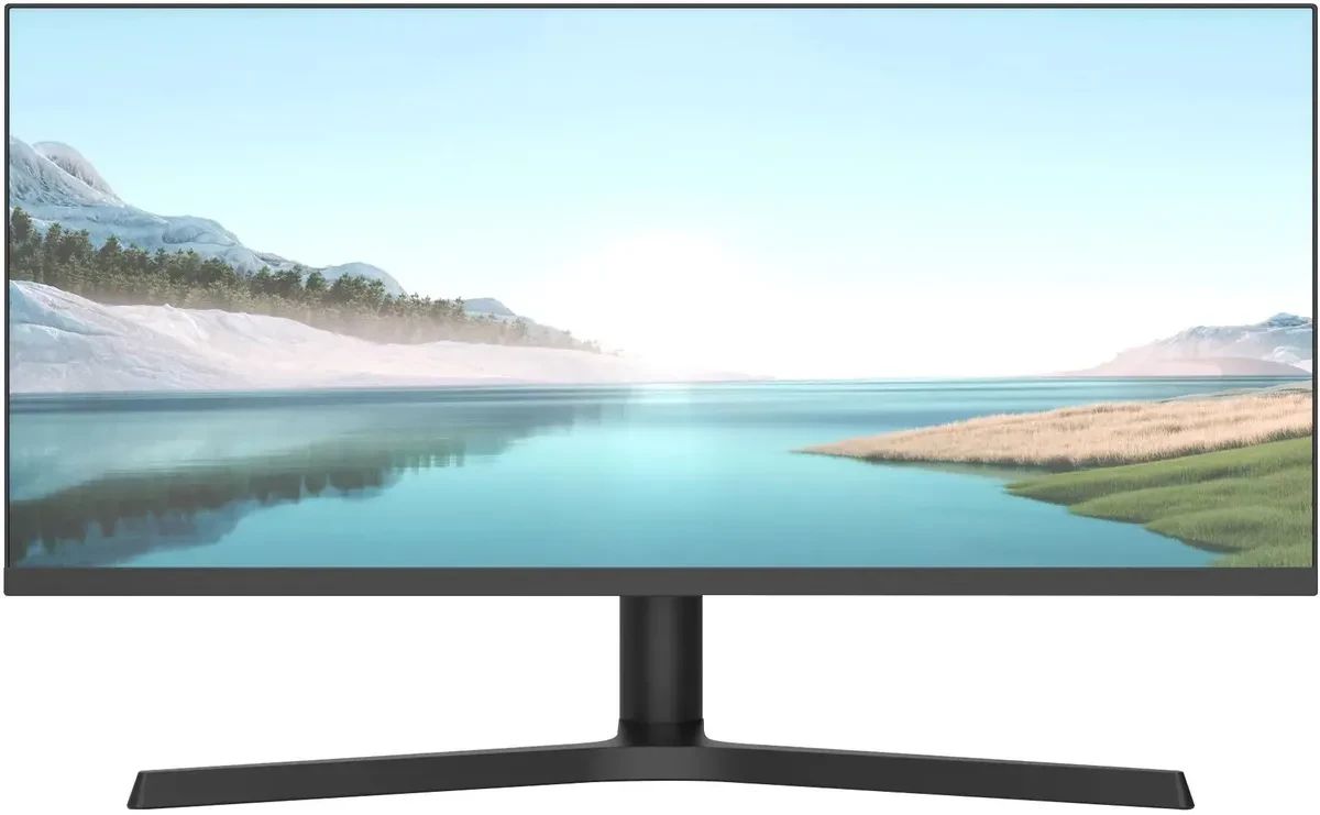 Монитор NPC 29 MZ300L, черный