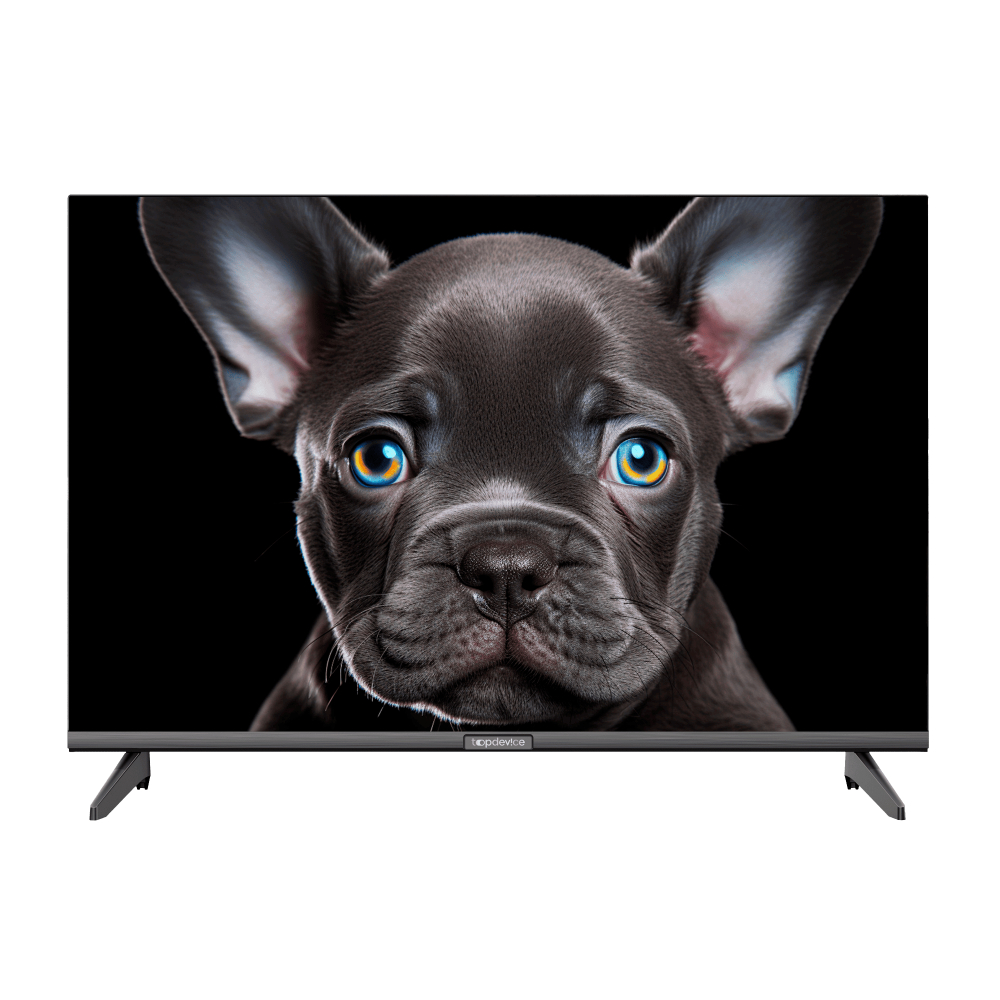 Телевизор Topdevice TDTV24CS08H_BK